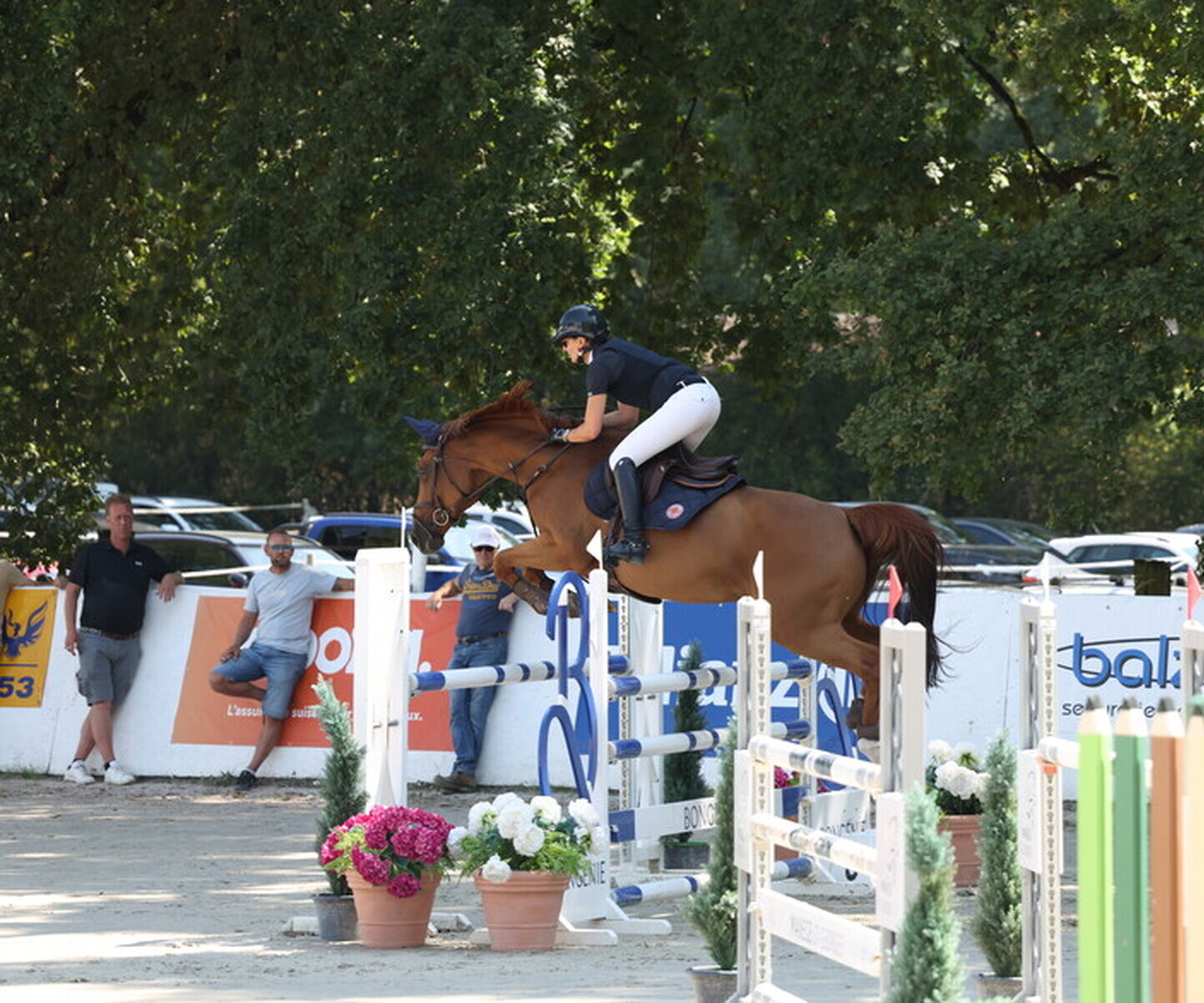 Description de l'image