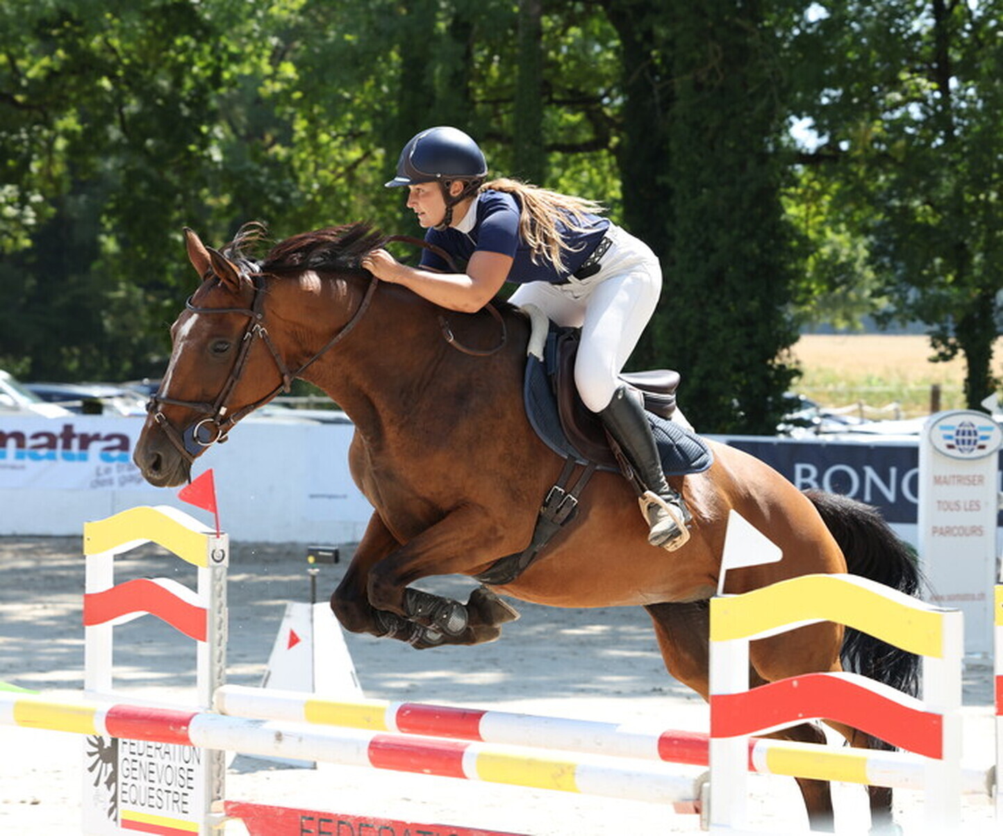 Description de l'image