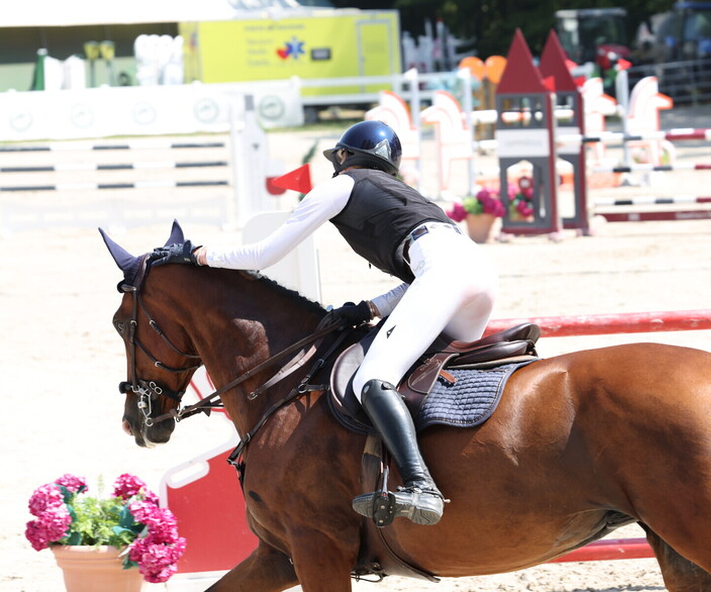 Description de l'image