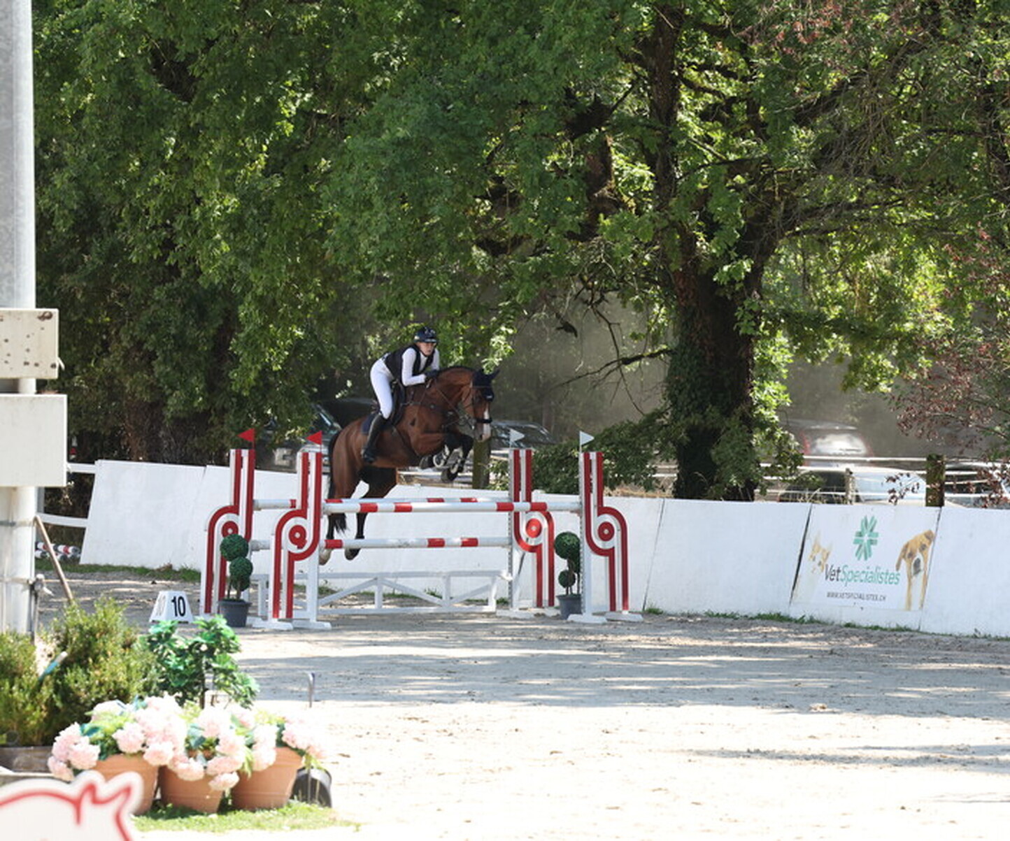 Description de l'image