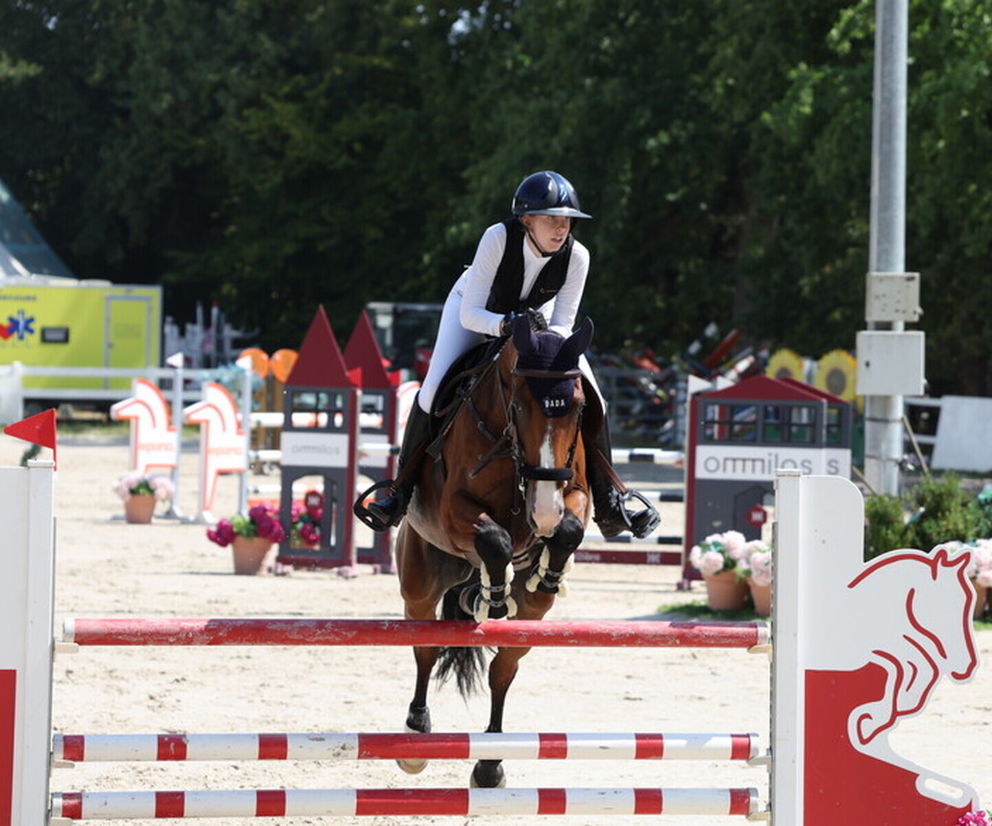 Description de l'image