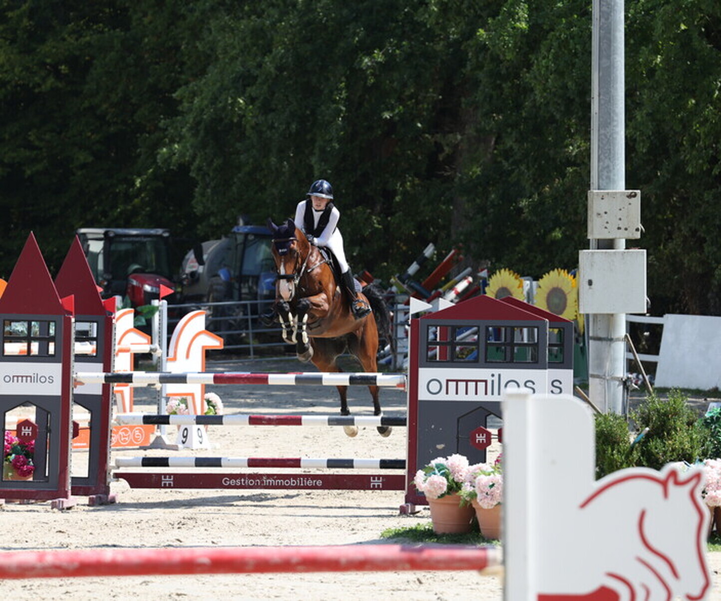 Description de l'image