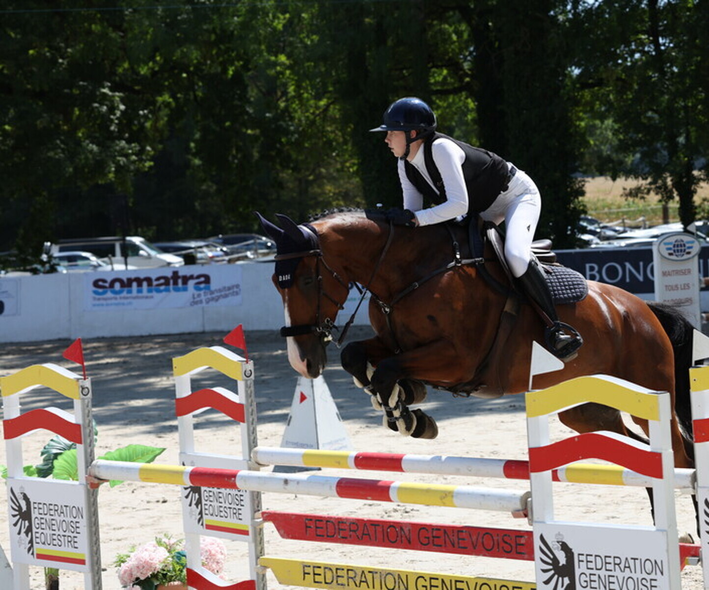 Description de l'image