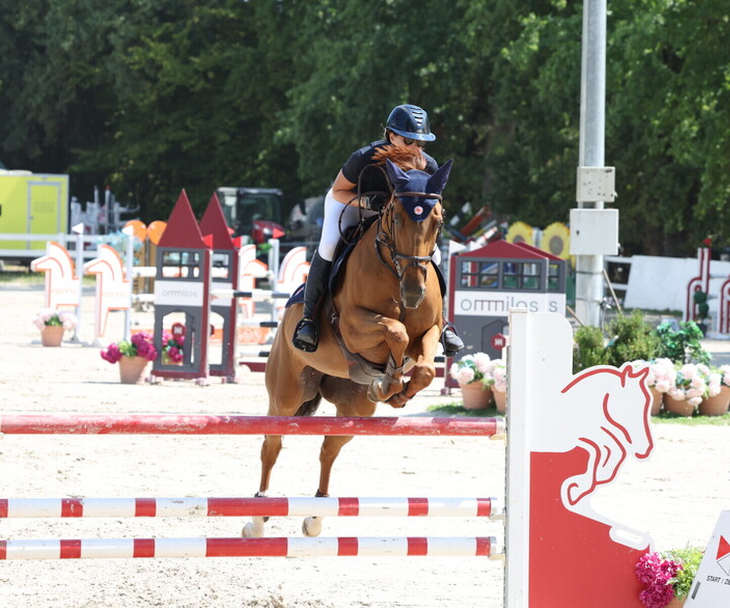 Description de l'image