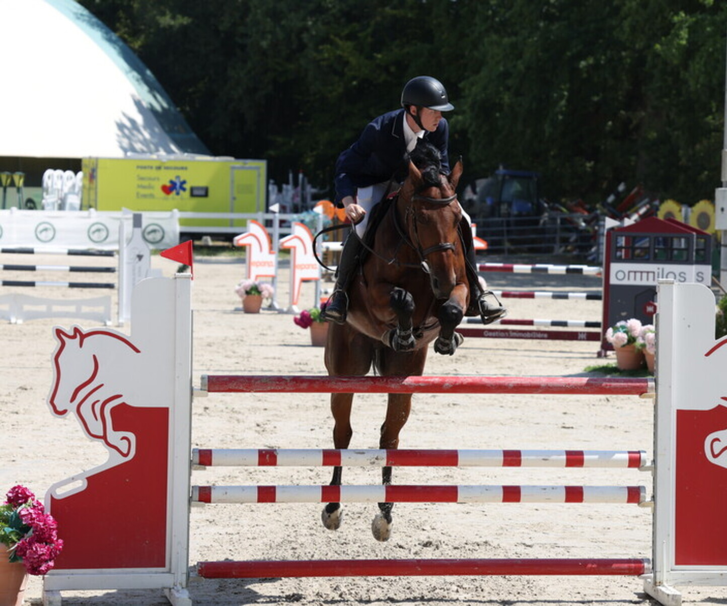 Description de l'image