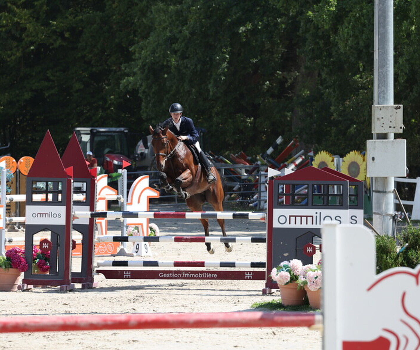 Description de l'image