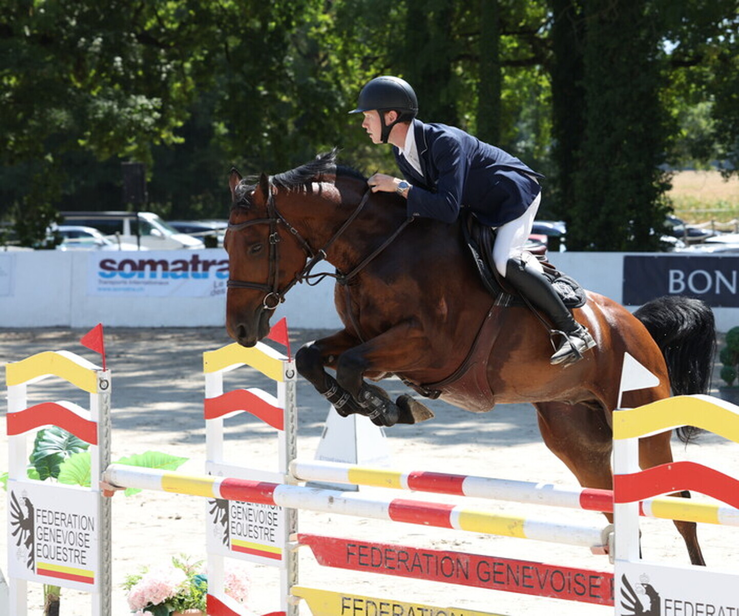 Description de l'image