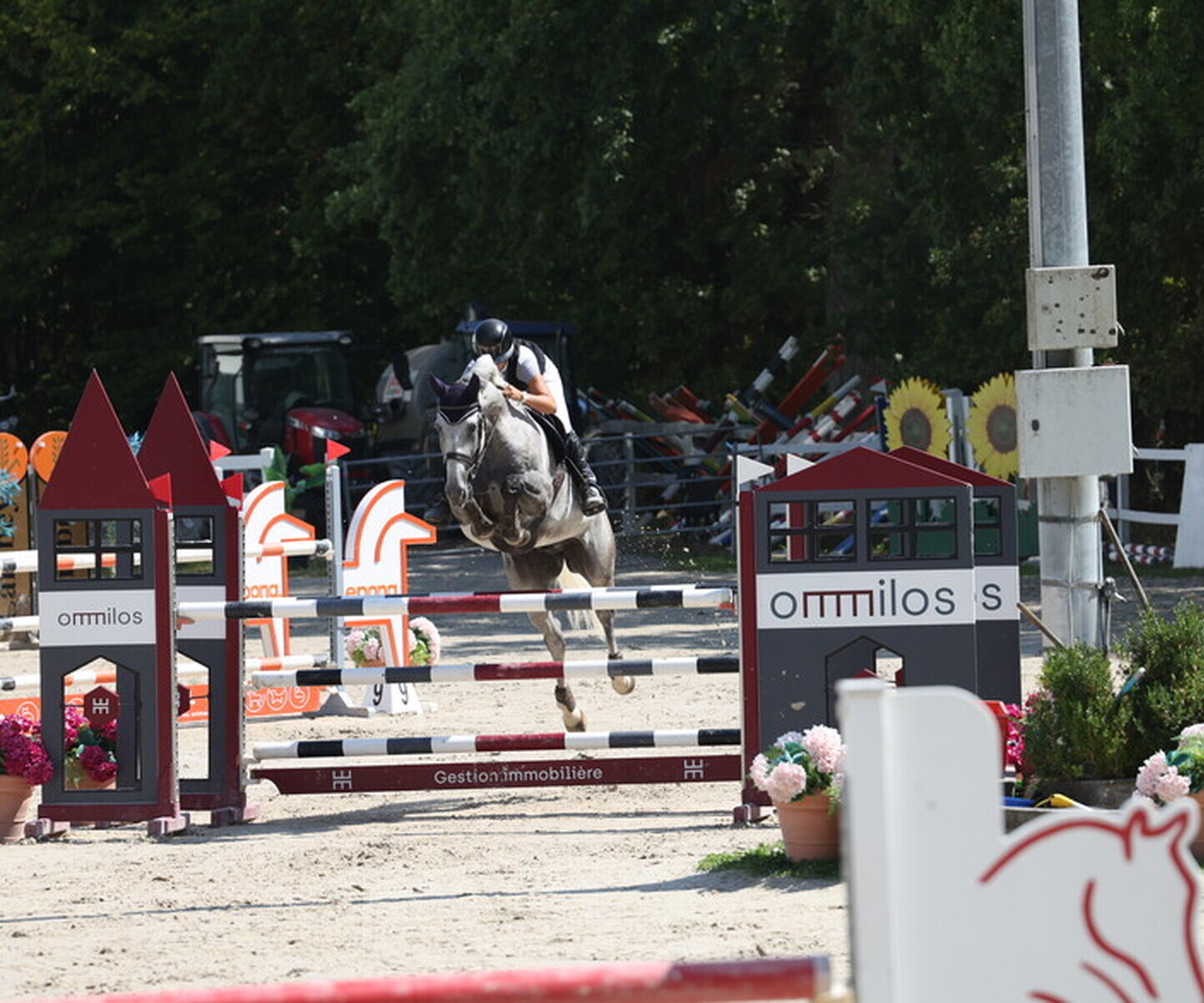 Description de l'image