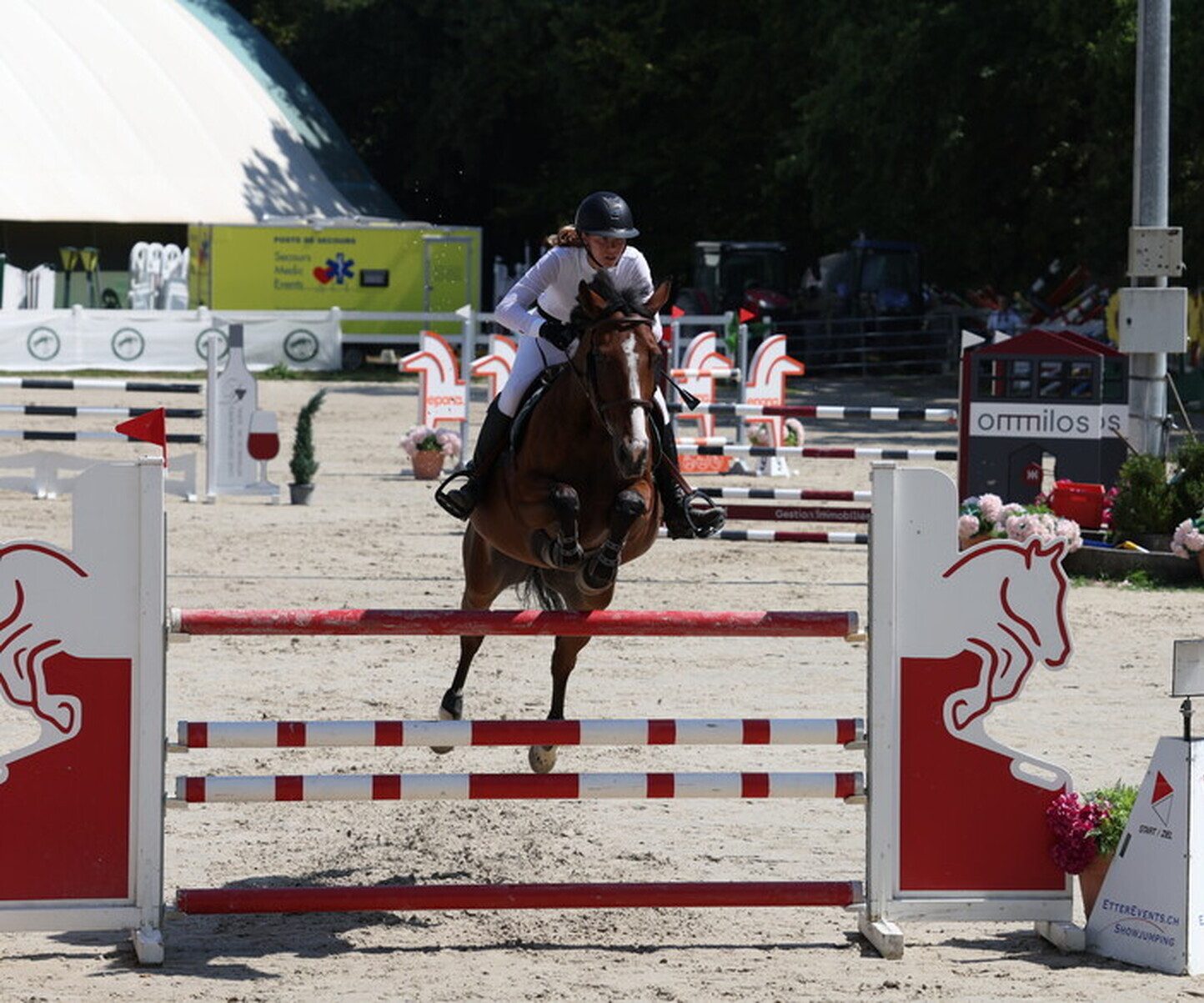 Description de l'image