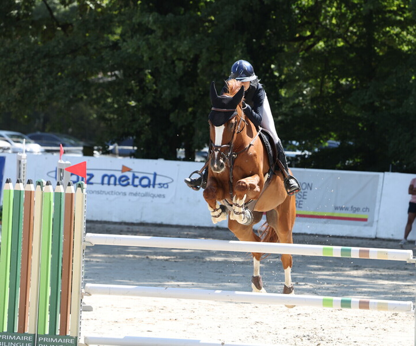 Description de l'image