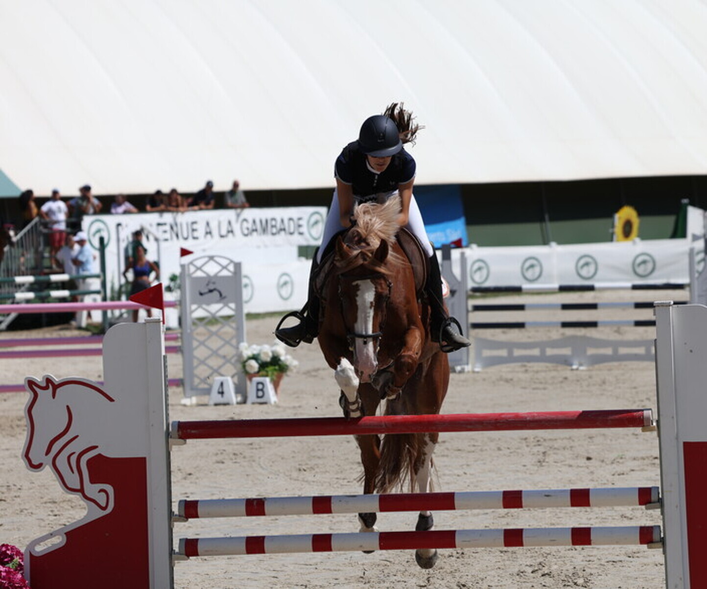 Description de l'image