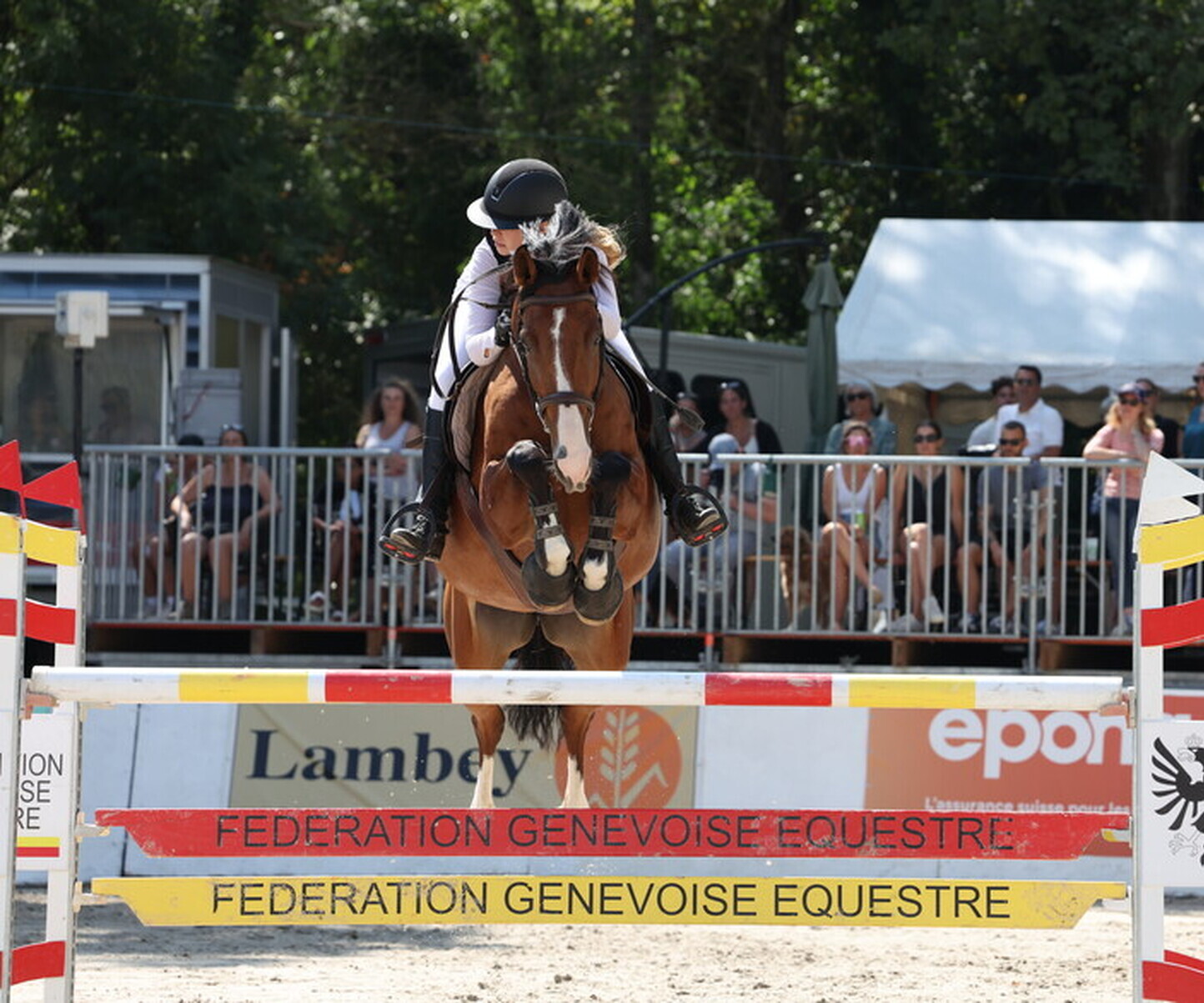 Description de l'image