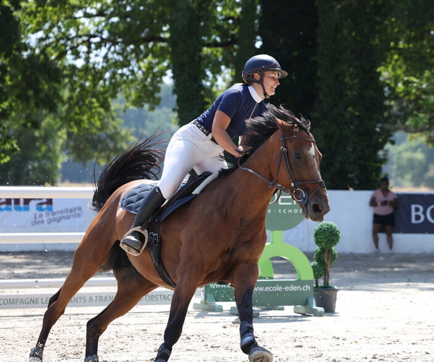 Description de l'image