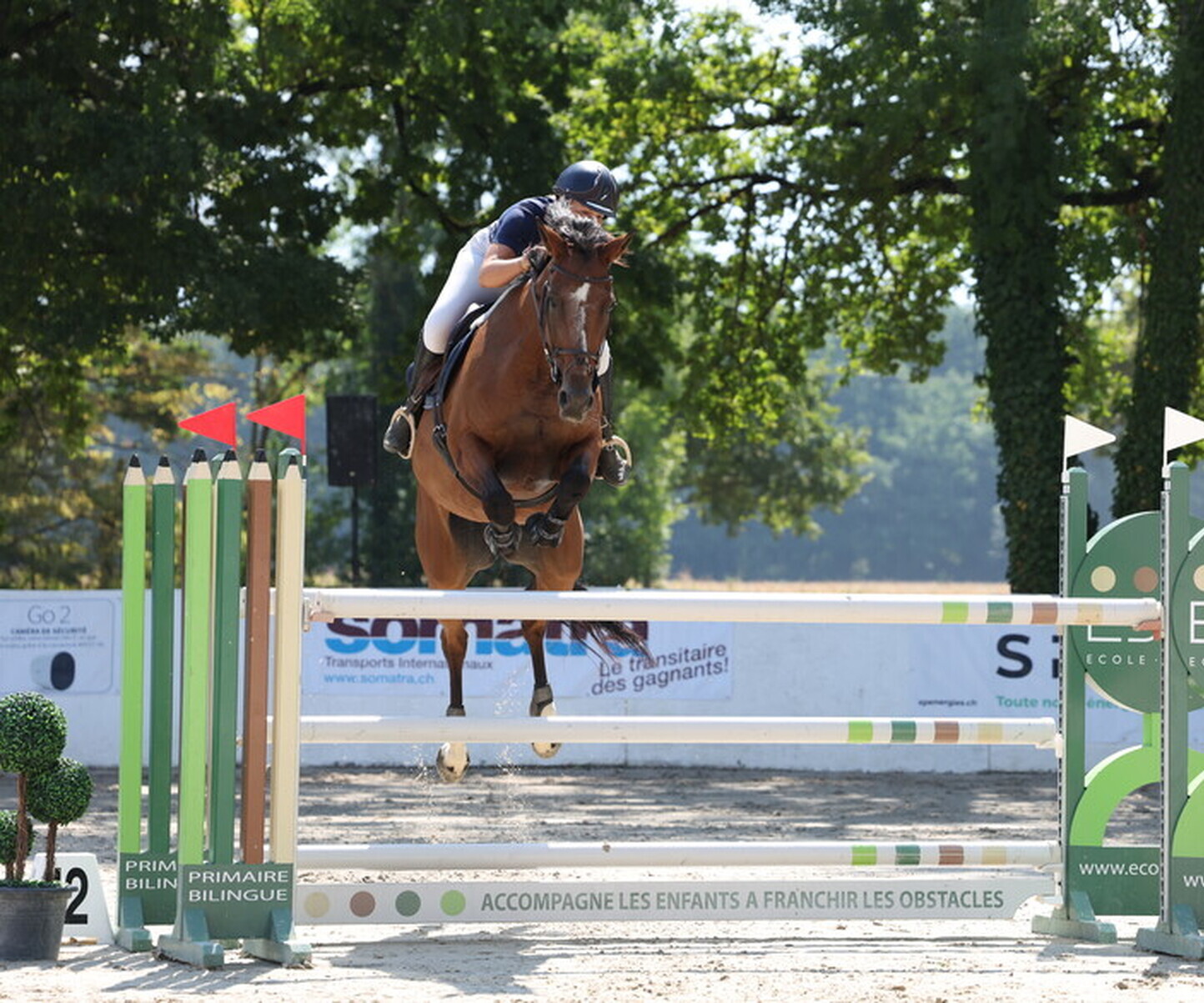 Description de l'image