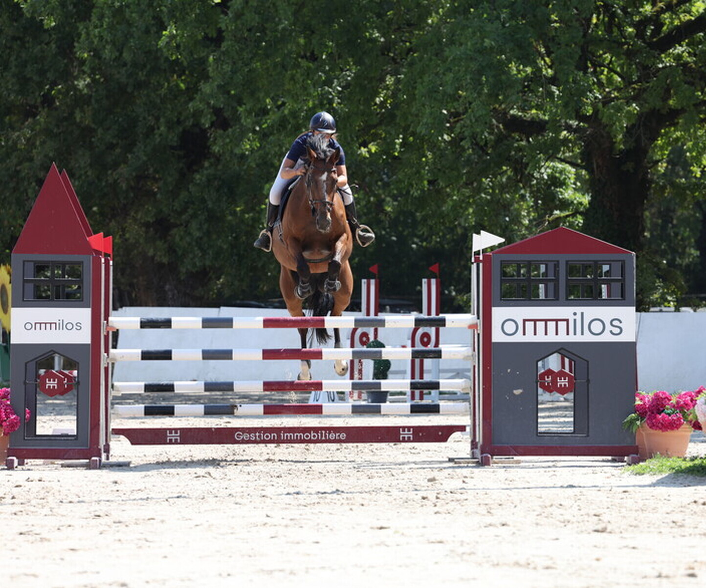 Description de l'image