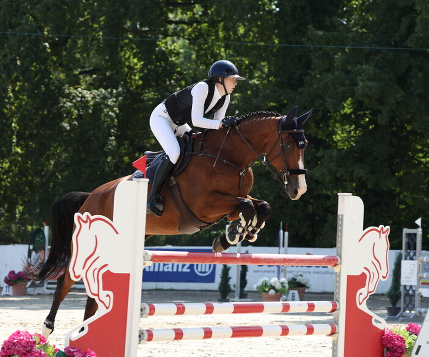 Description de l'image