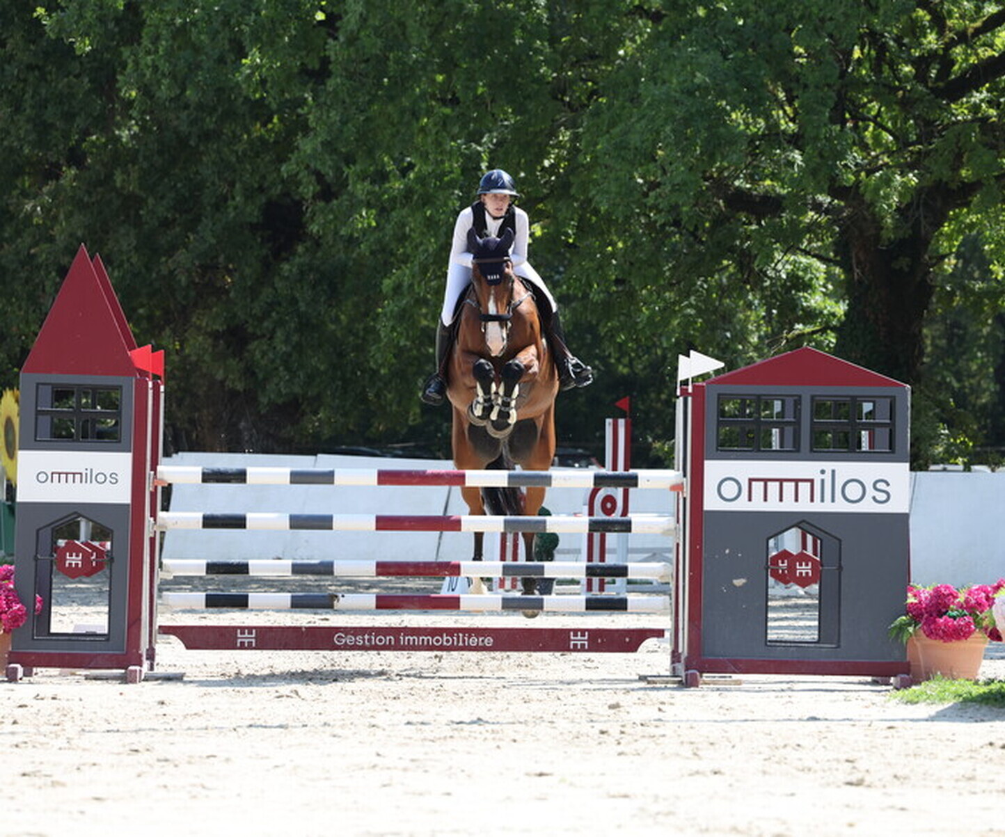 Description de l'image