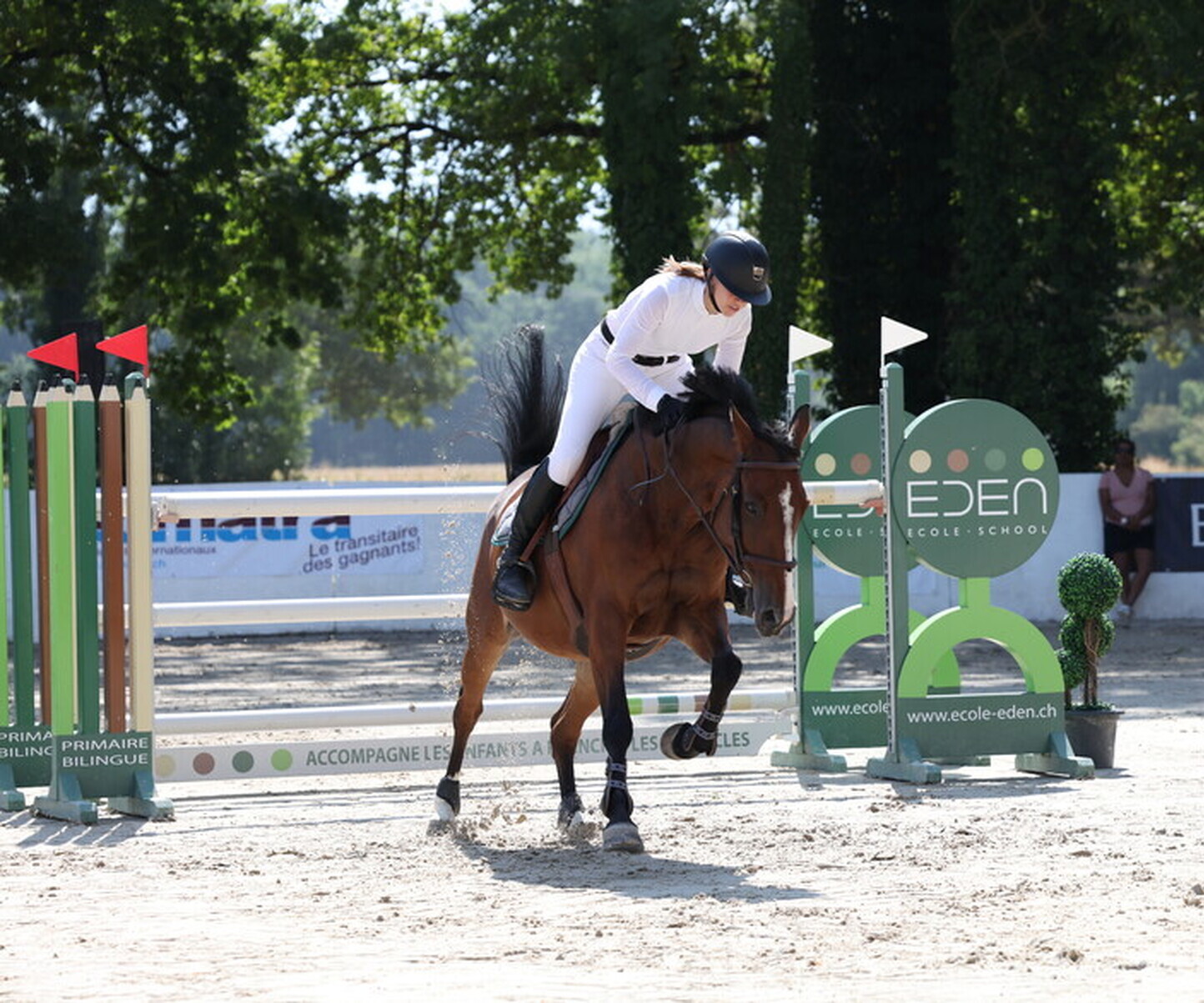 Description de l'image