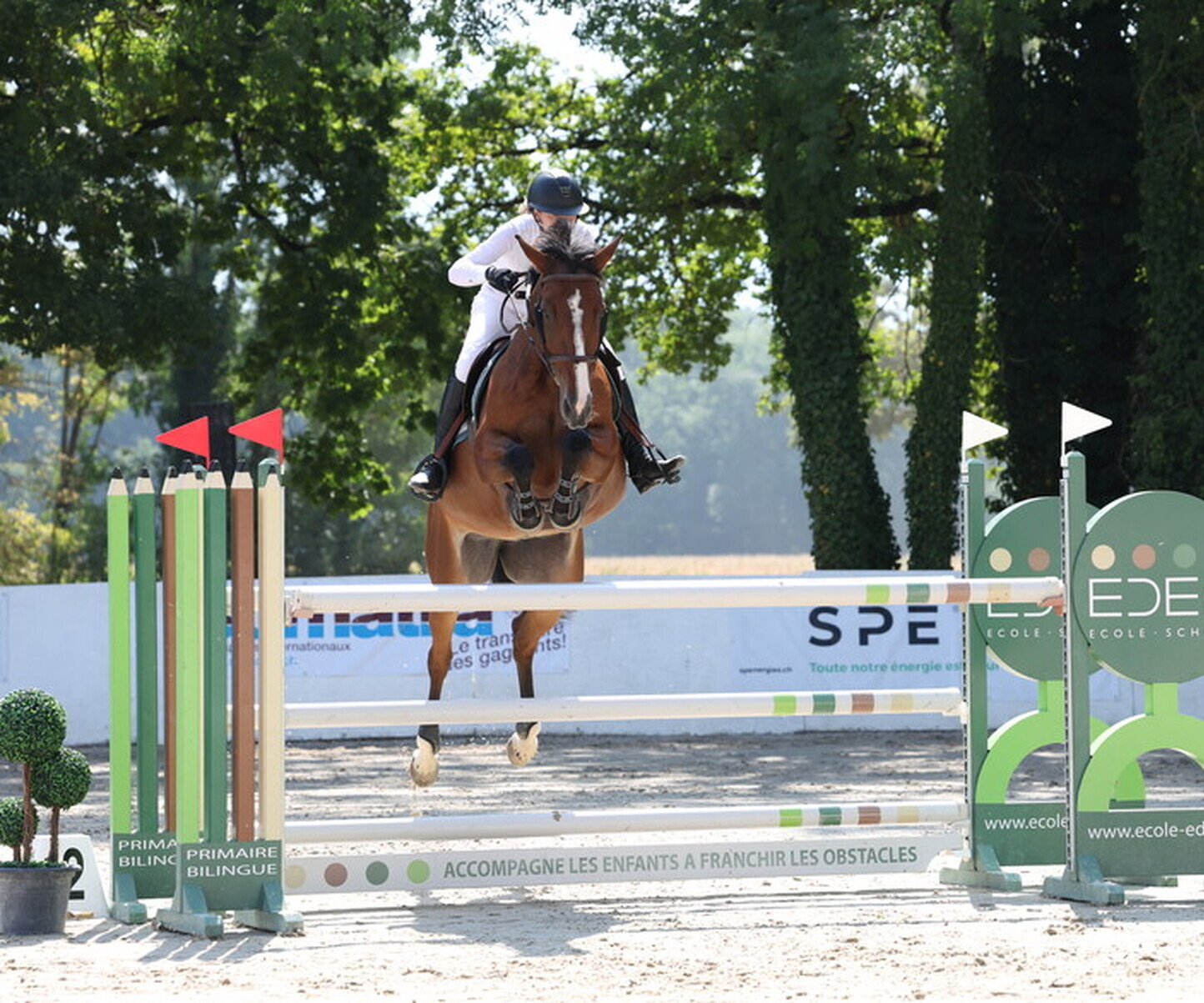 Description de l'image