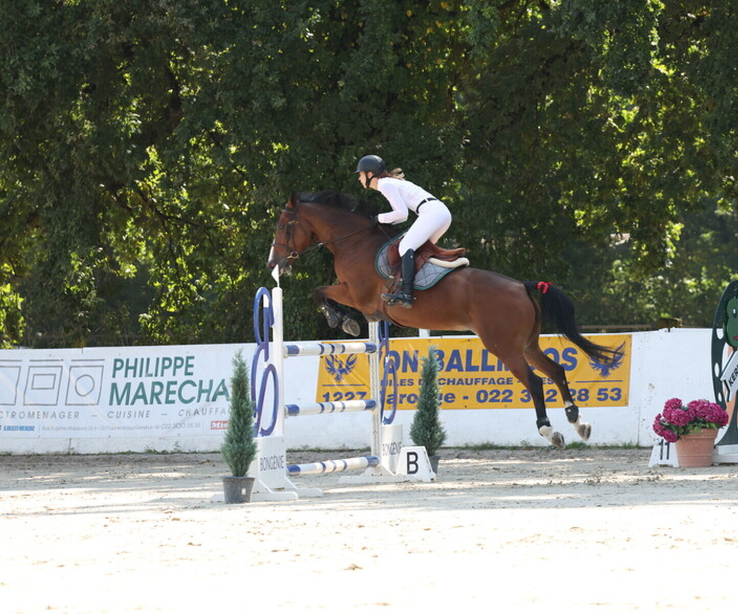 Description de l'image