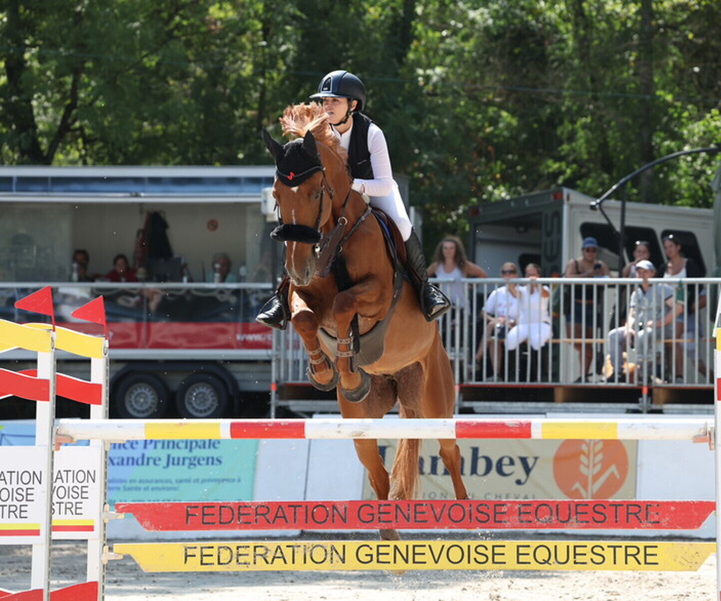 Description de l'image