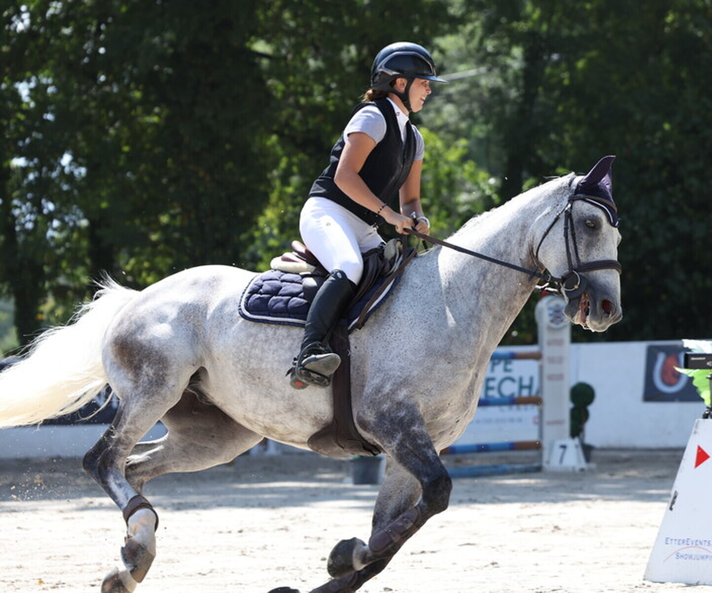 Description de l'image