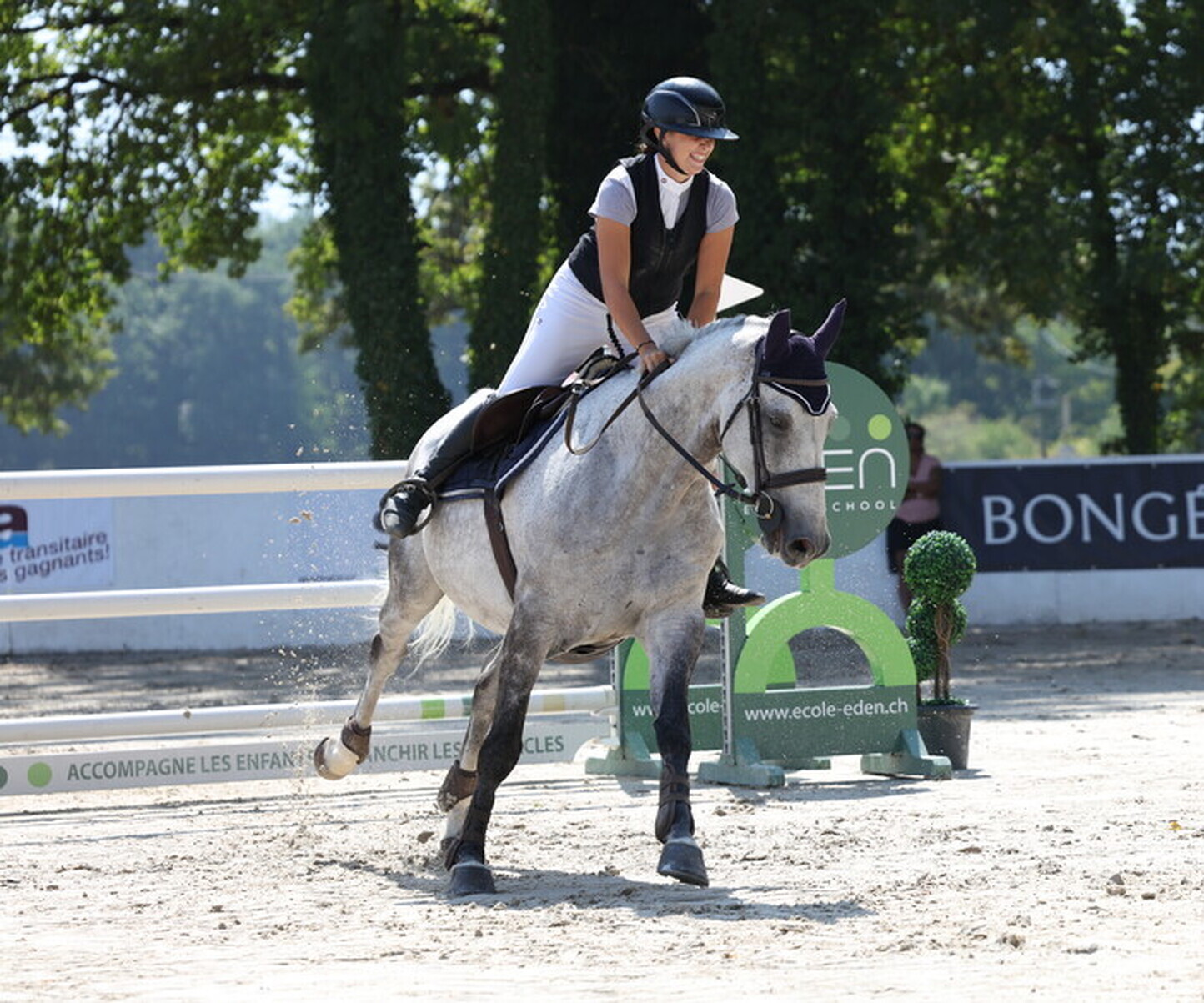 Description de l'image