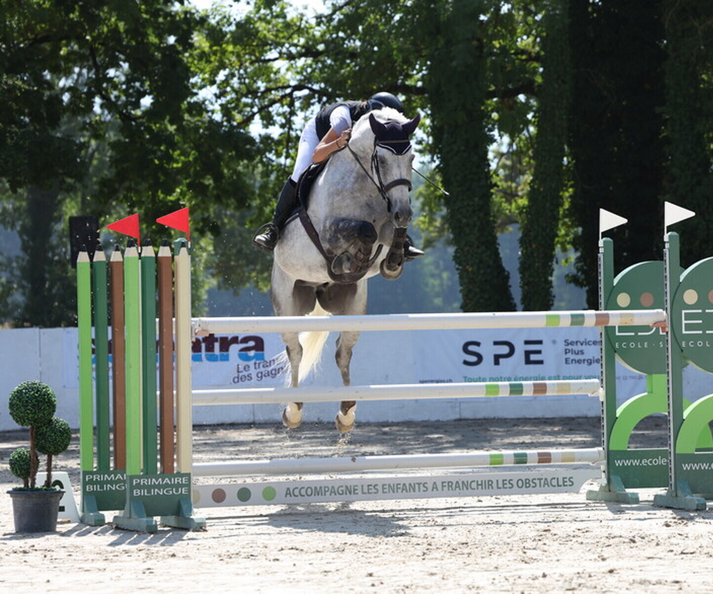 Description de l'image