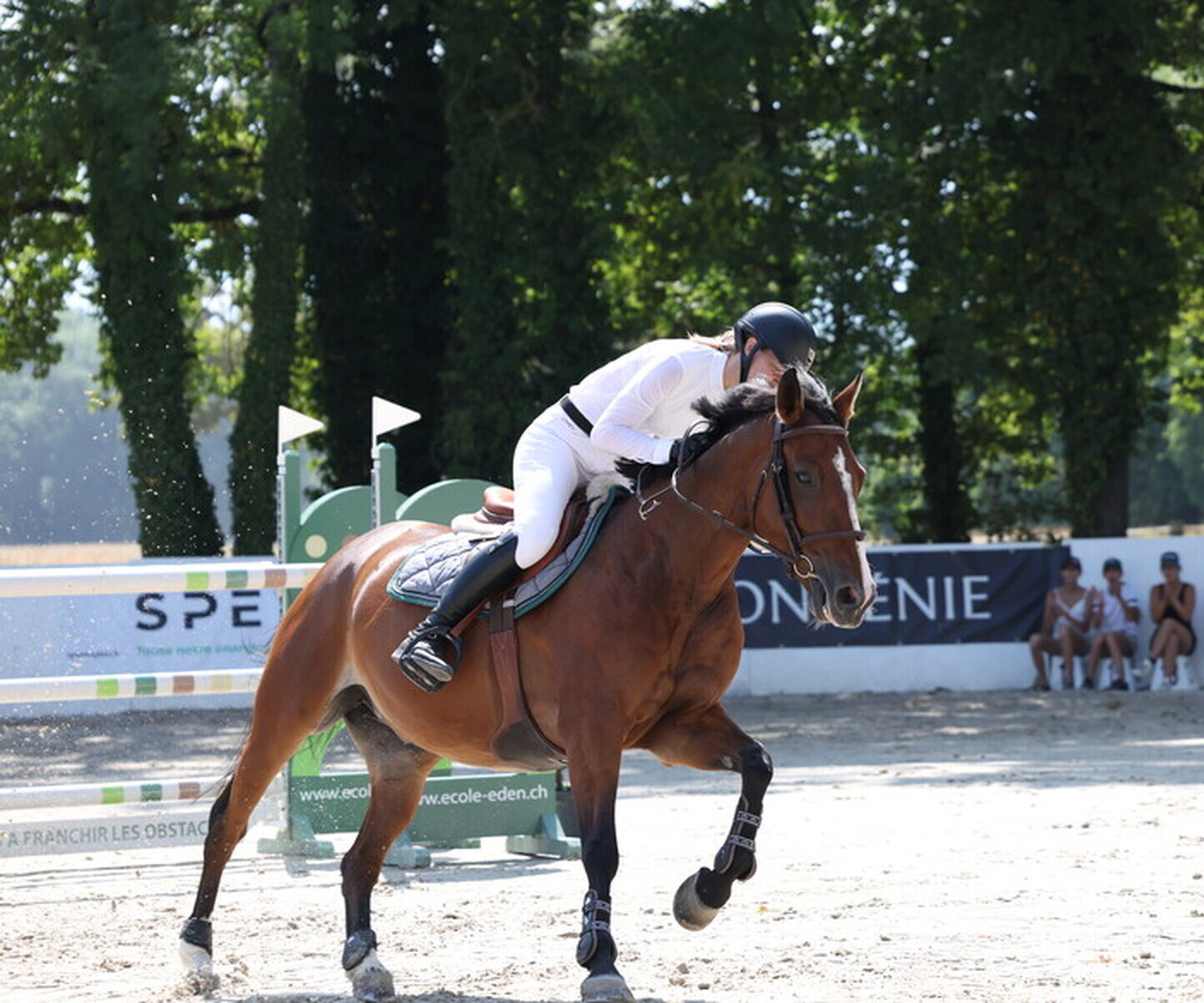 Description de l'image