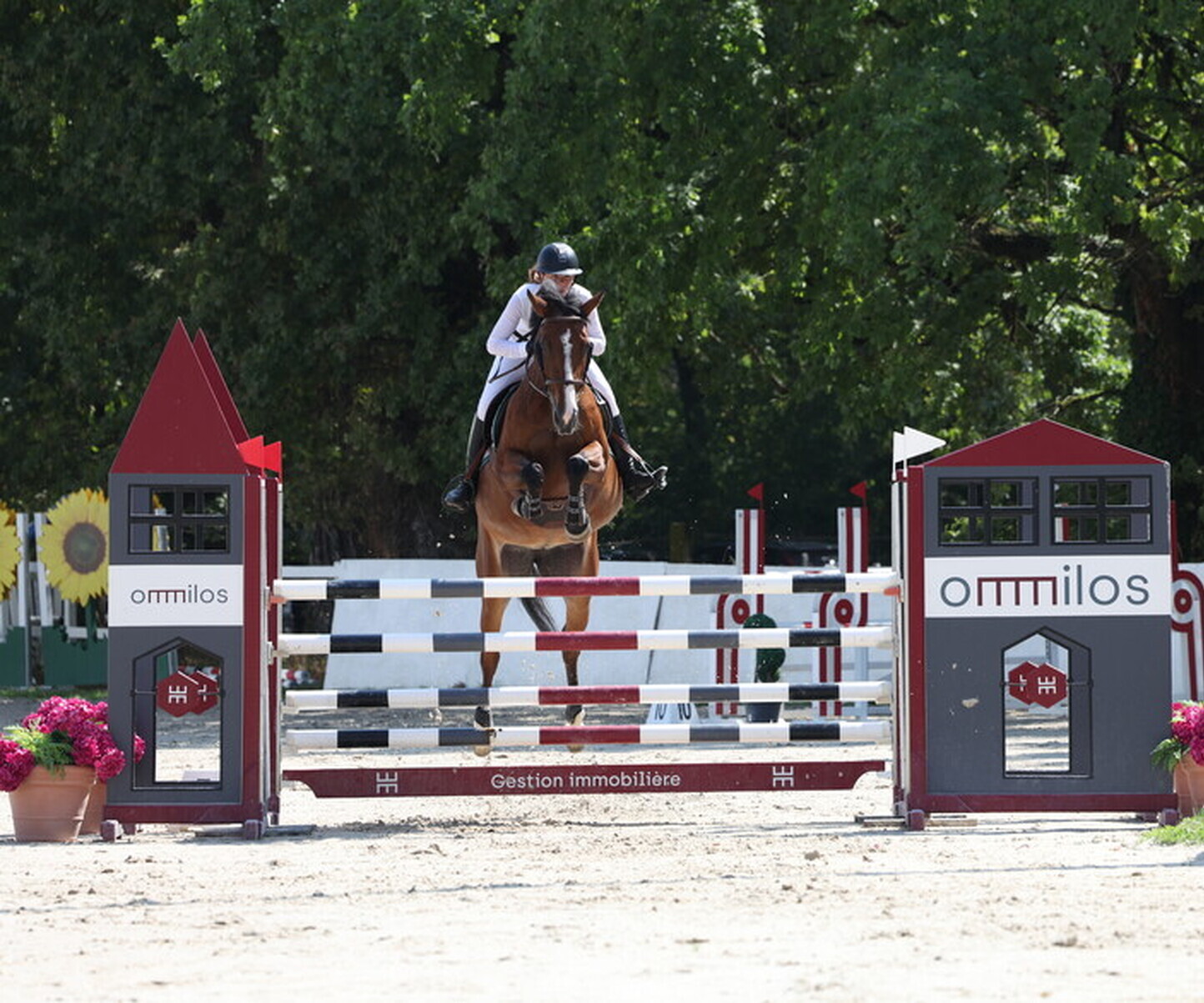 Description de l'image