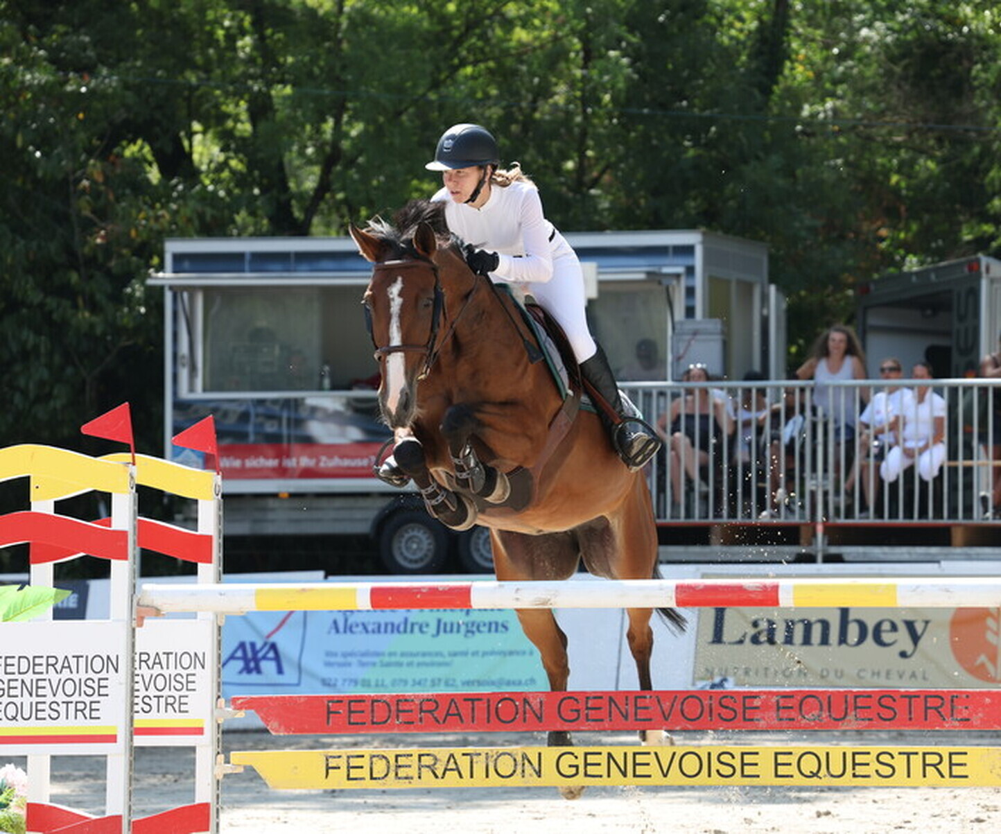 Description de l'image