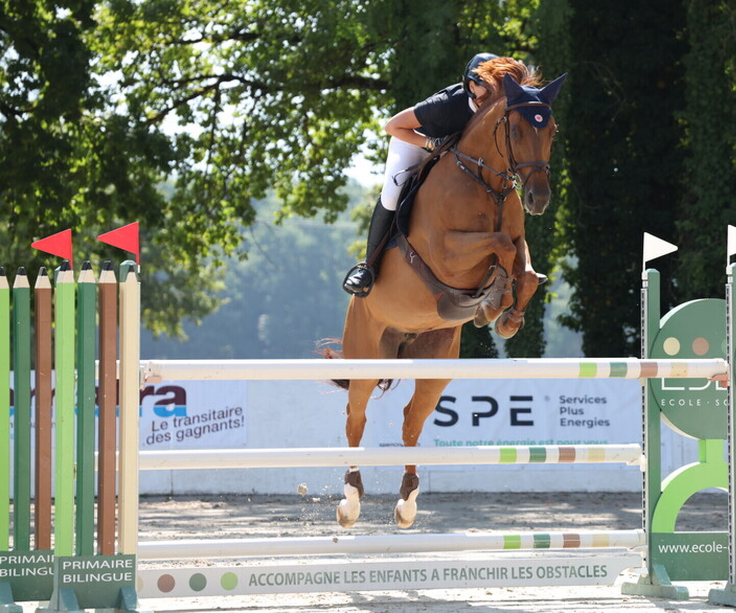 Description de l'image