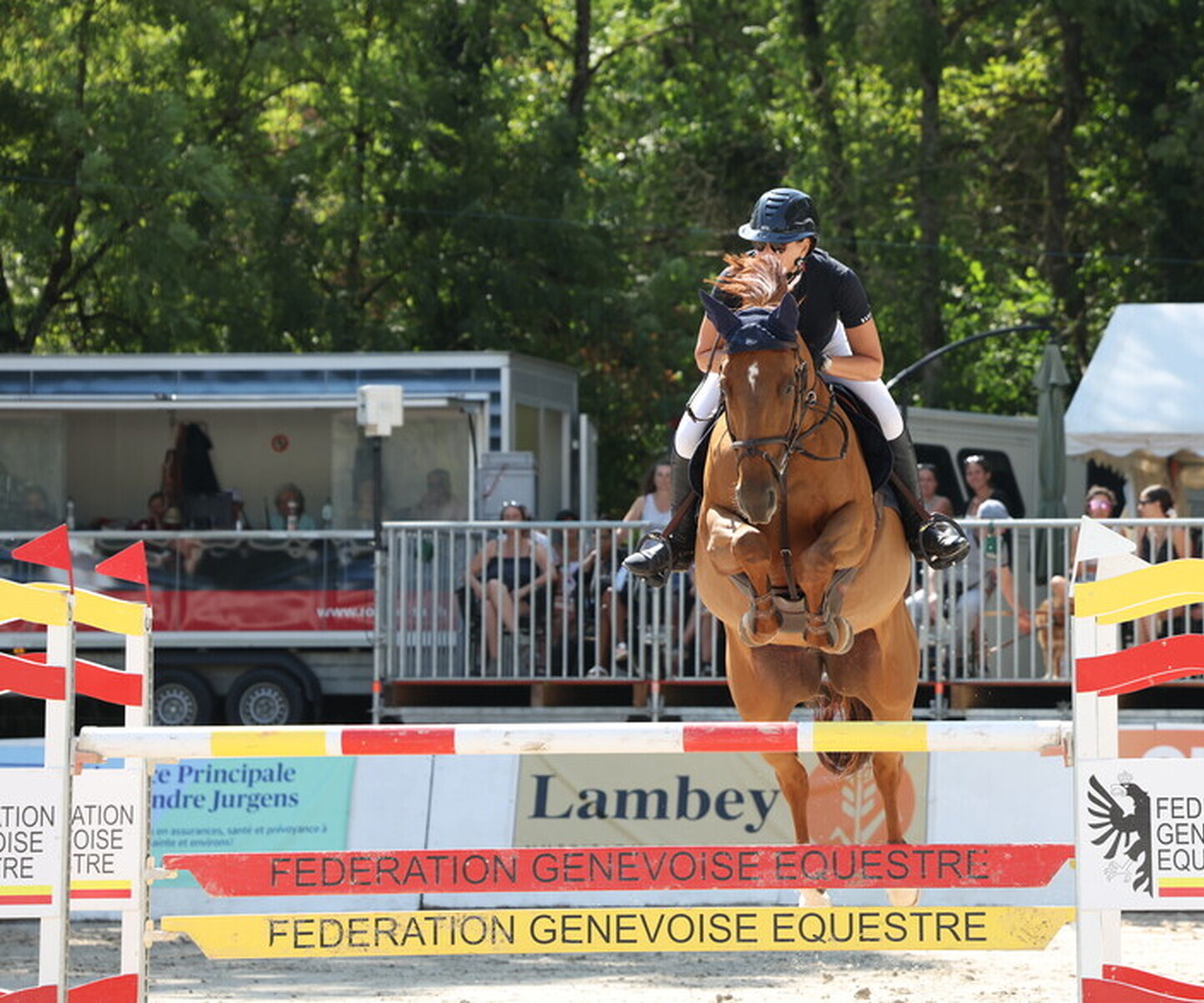 Description de l'image