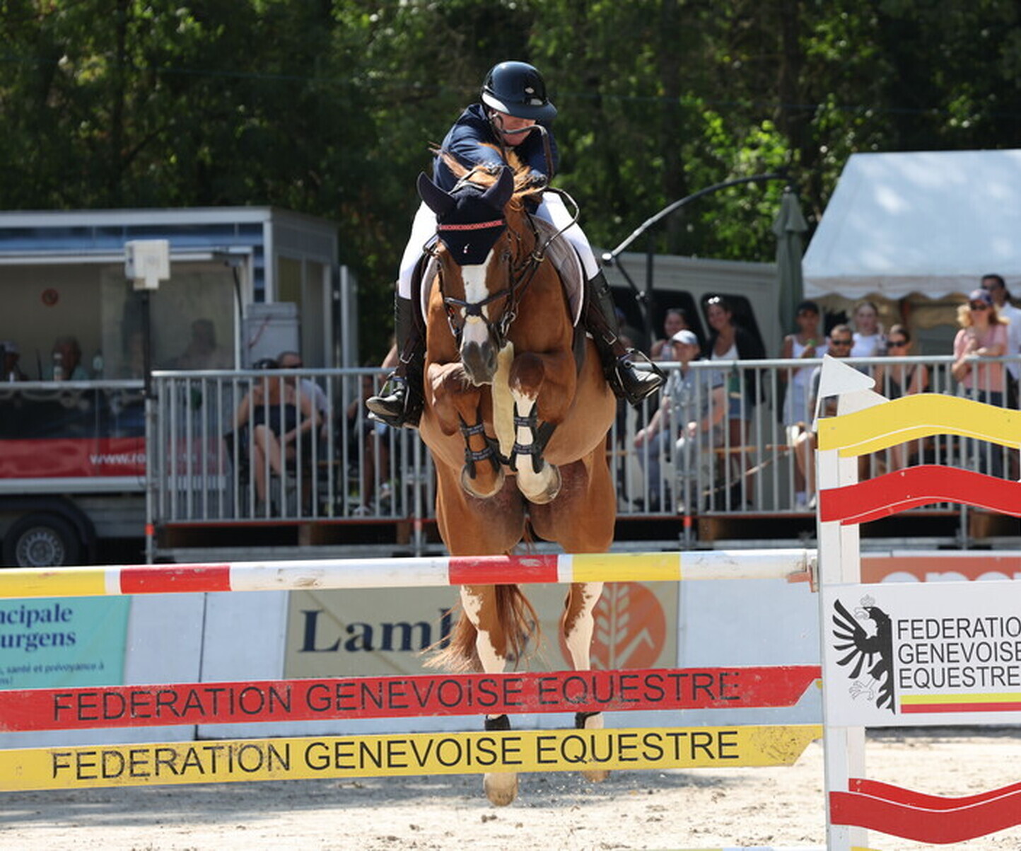 Description de l'image