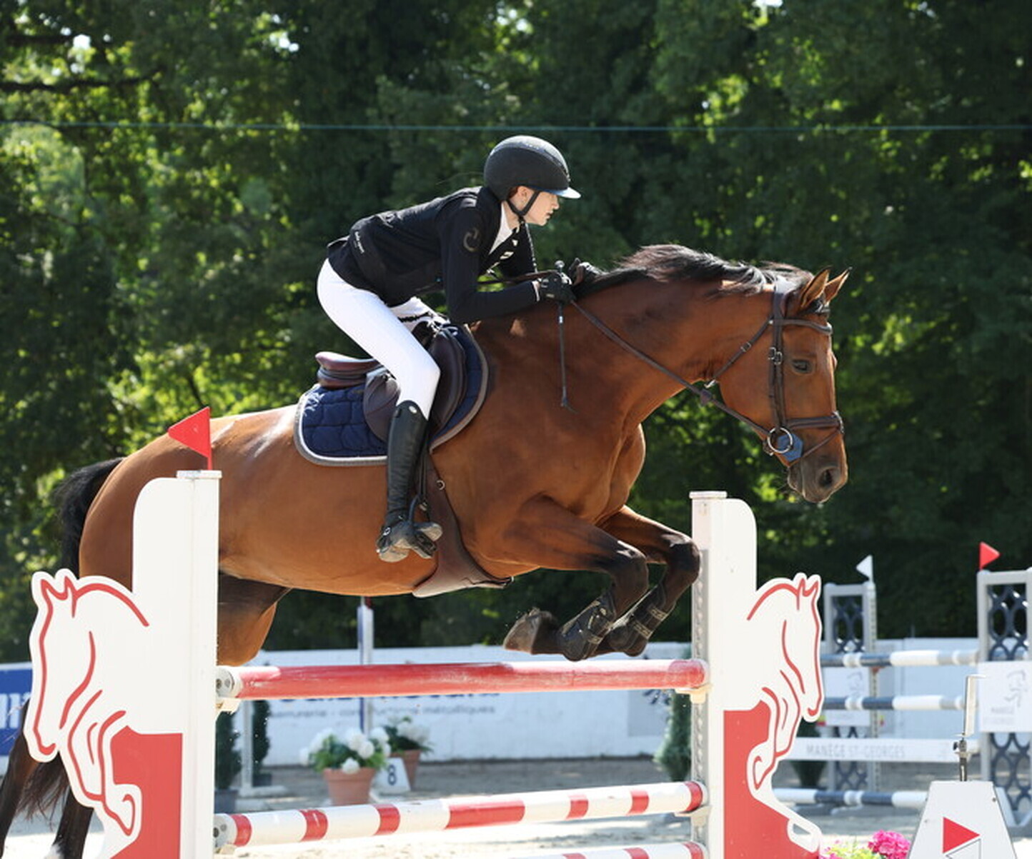 Description de l'image