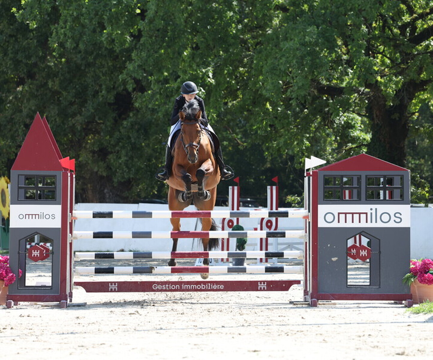 Description de l'image