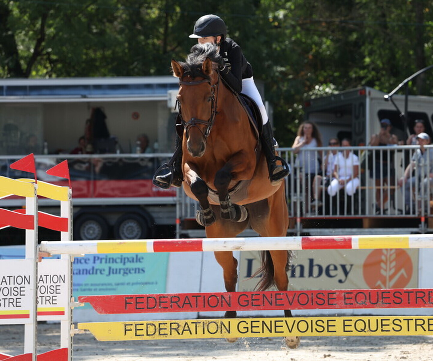 Description de l'image