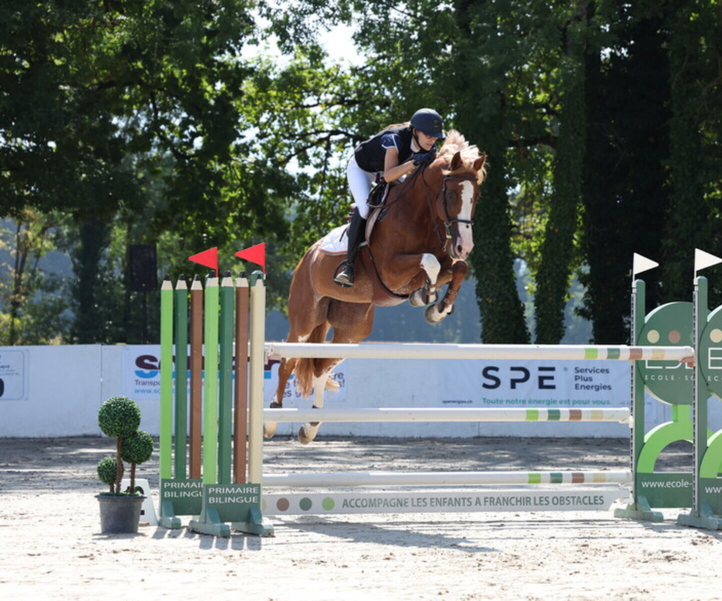 Description de l'image