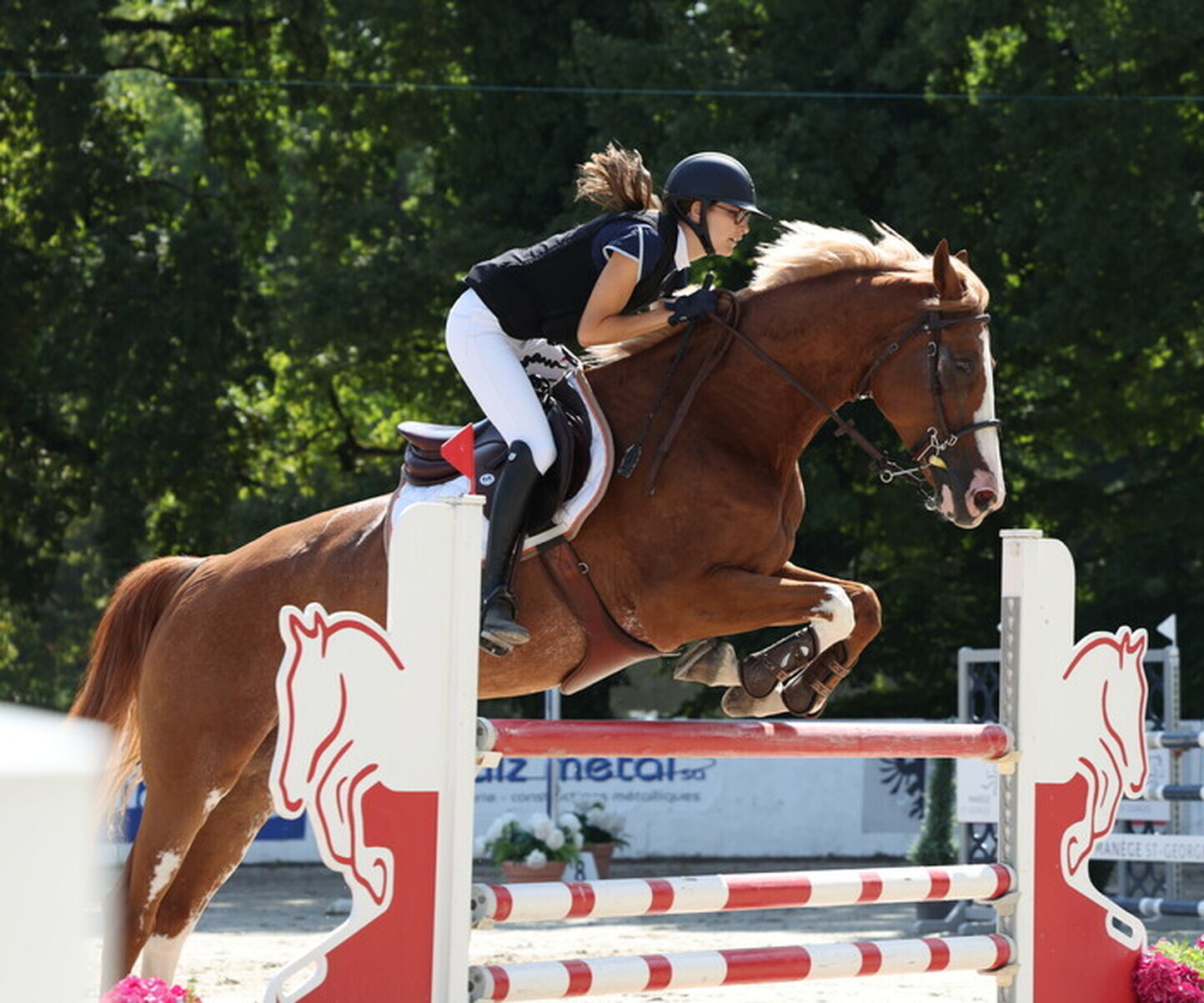 Description de l'image