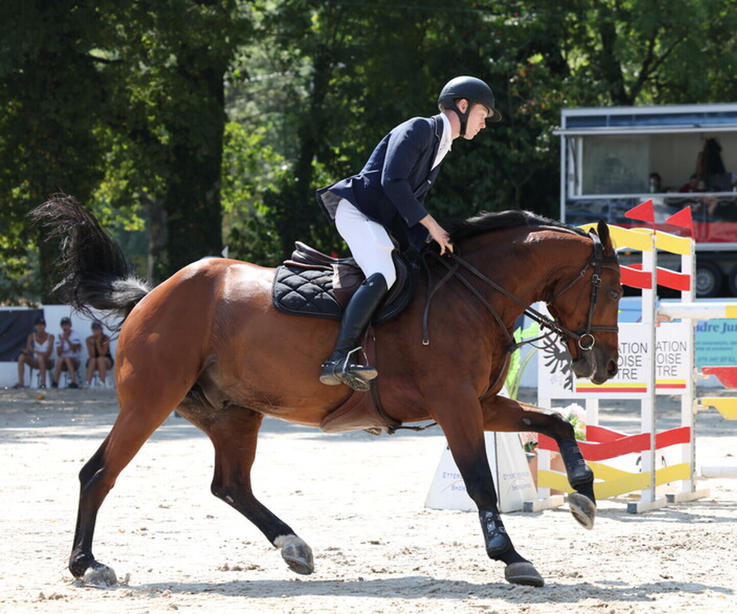 Description de l'image