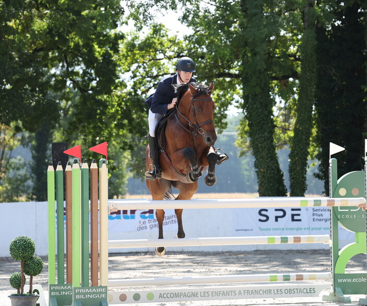 Description de l'image