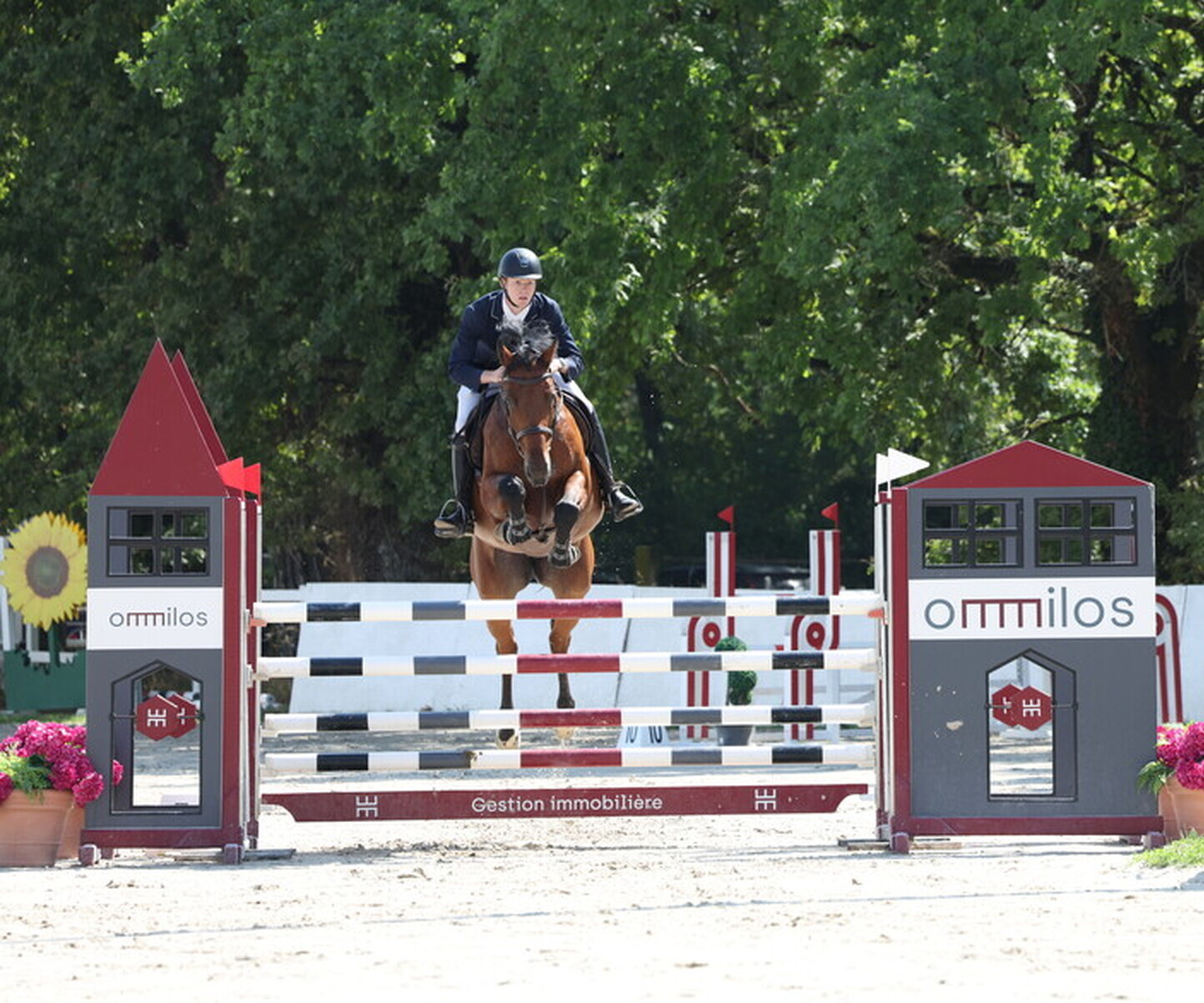 Description de l'image