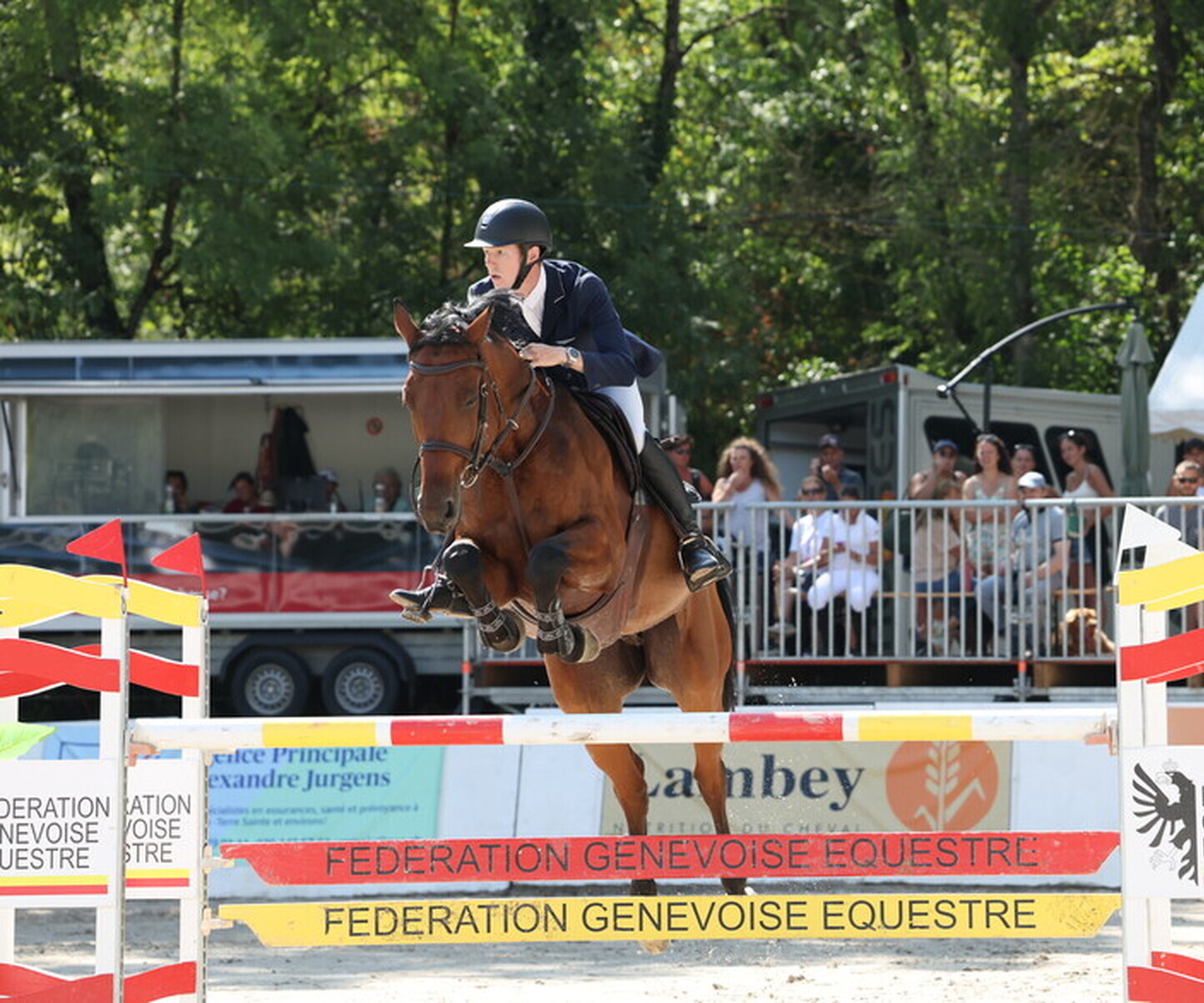 Description de l'image