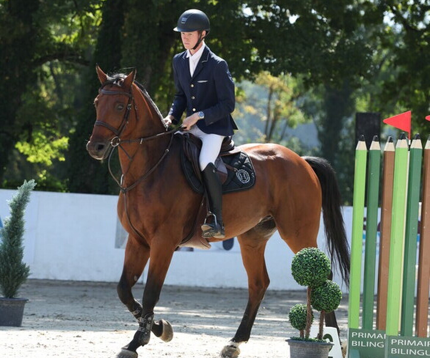 Description de l'image