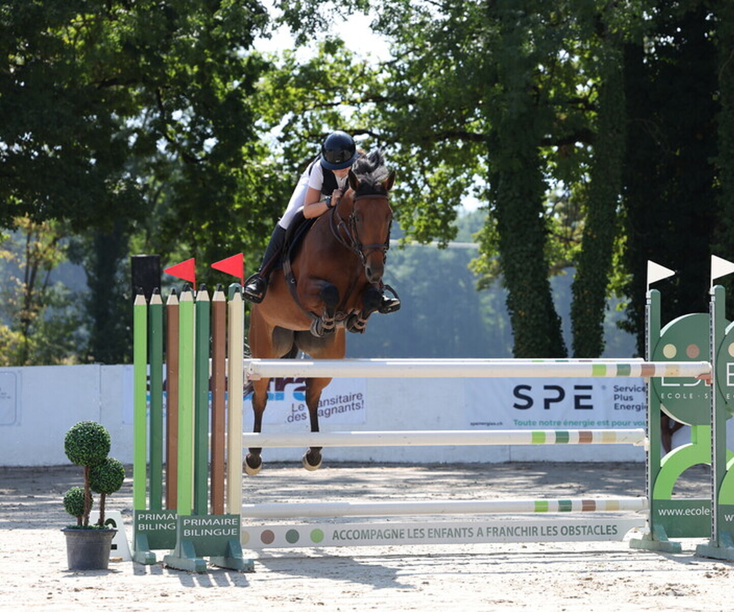 Description de l'image