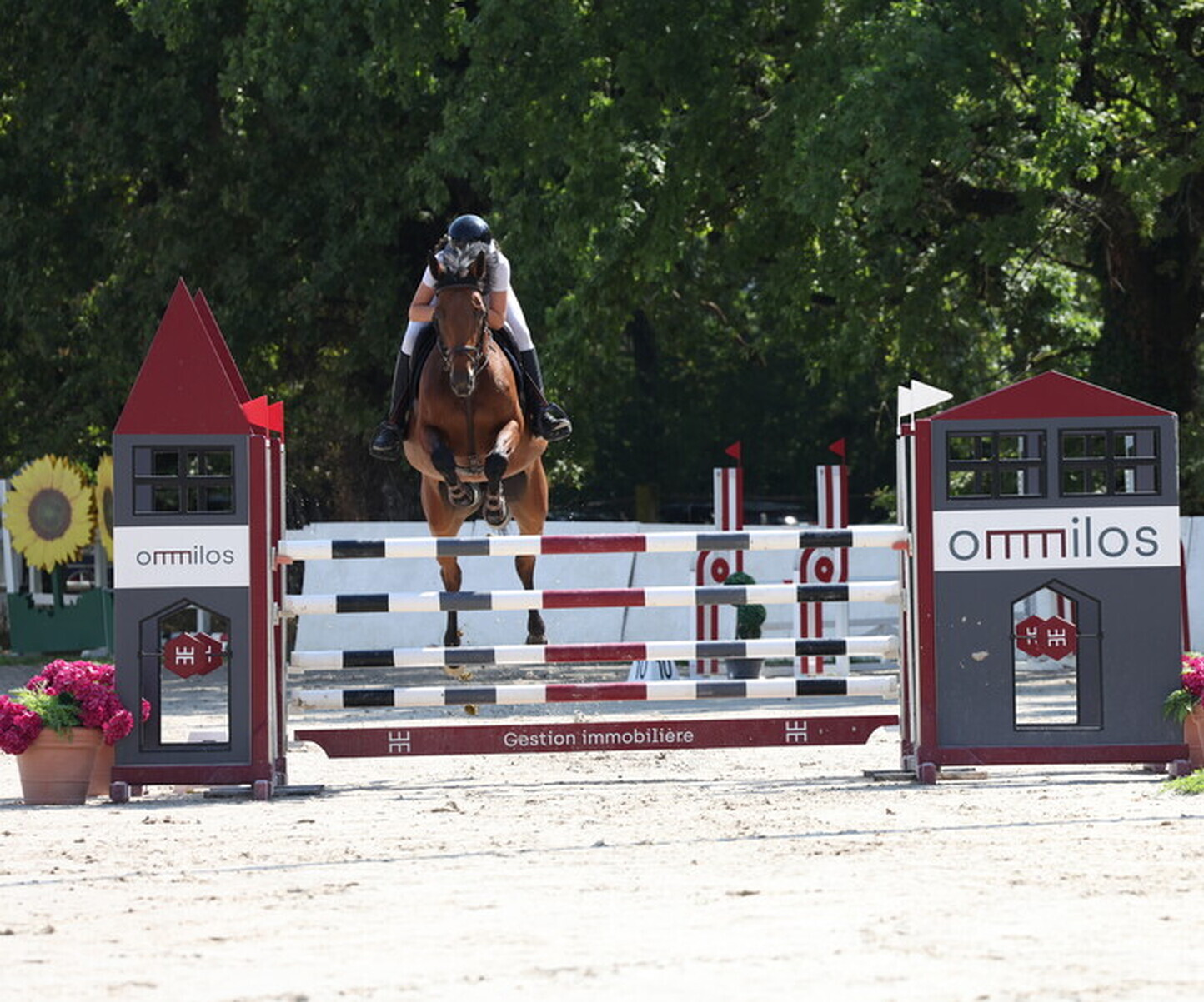 Description de l'image