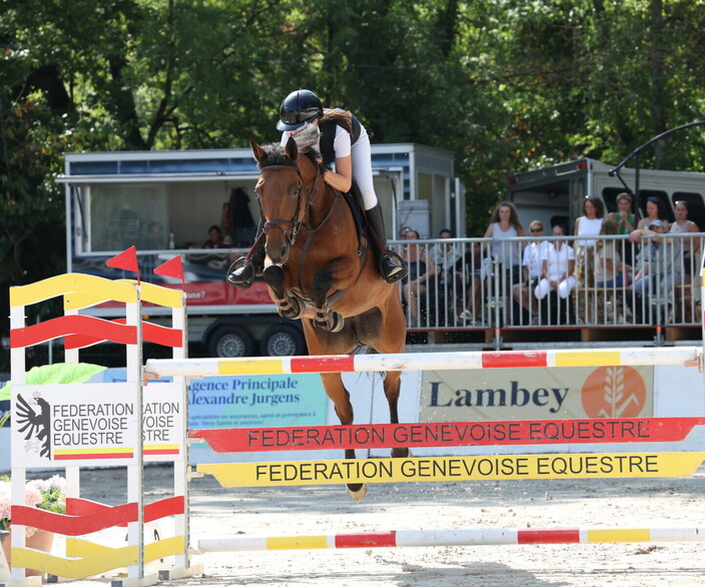 Description de l'image