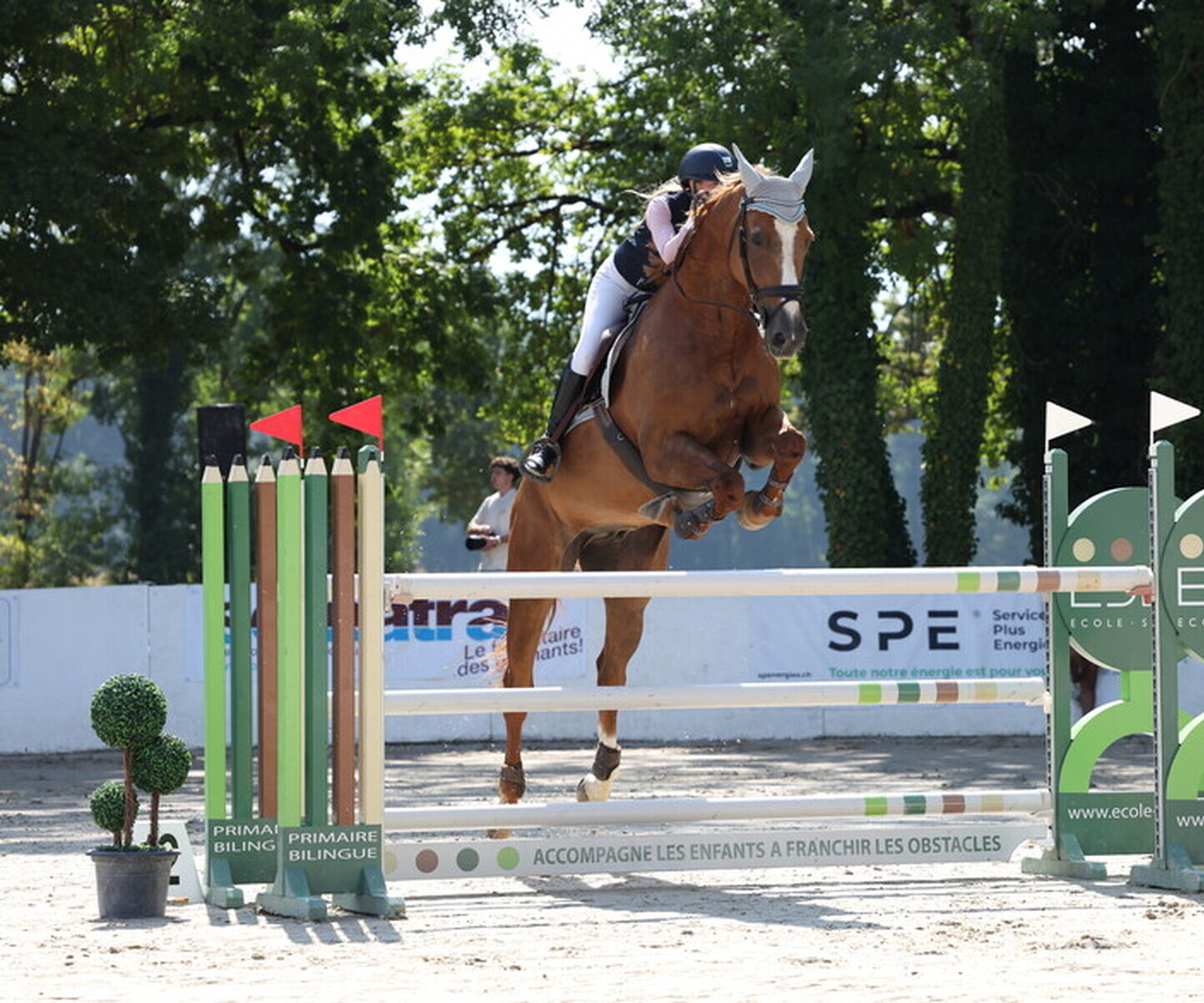 Description de l'image