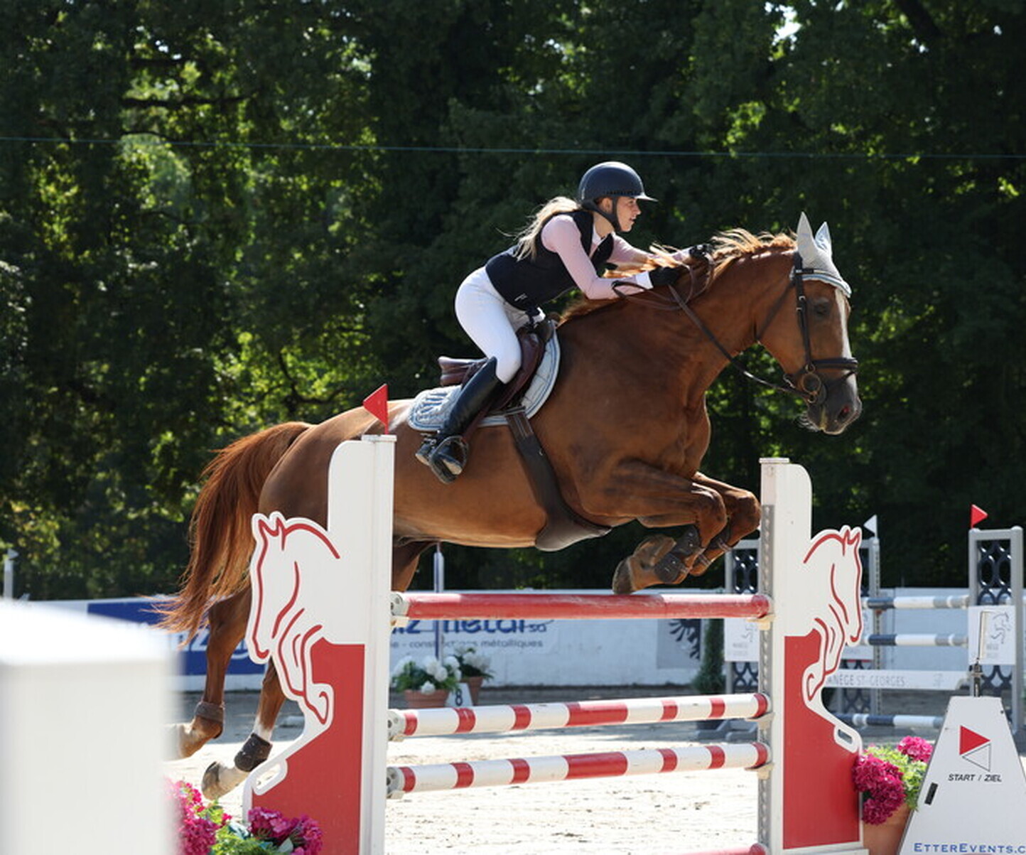 Description de l'image