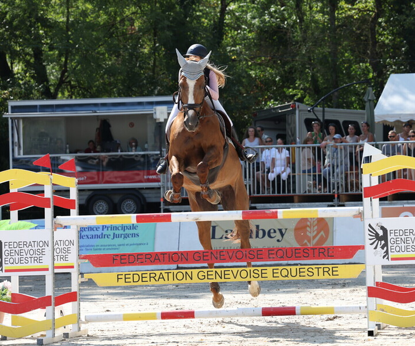 Description de l'image